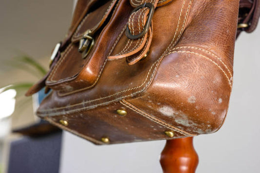How to Get Rid of Mold on Leather Bag: Quick Guide